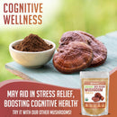 xprs-nutra-organic-red-reishi-mushroom-powder---pr-3.jpg