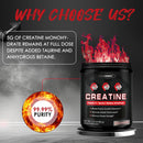 zebora-micronized-creatine-monohydrate-powder-crea-4.jpg