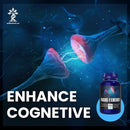 zen-focus-and-energy-supplement-with-choline-thean-4.jpg