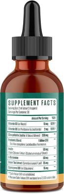 zeolite-detox-for-adults-zeolite-liquid-drops-with-vitamin-b-probiotic-blend-gentle-detox-for-adults-energy-gut-focus---2-fl-oz-1-bottles-2