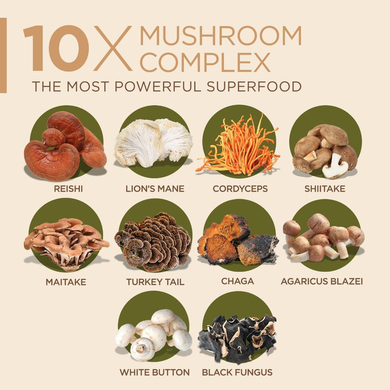 10-mushroom-complex-nootropic-brain-supplement-adv-5.jpg