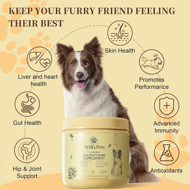 11-in-1-dog-multivitamin-for-small-medium-large-breed-dogvitamin-dog-treat-dog-vitamins-and-supplements-vitamin-mixture-for-skin-coat-by-wiffypetsboosts-immunity-90-countchicken-1