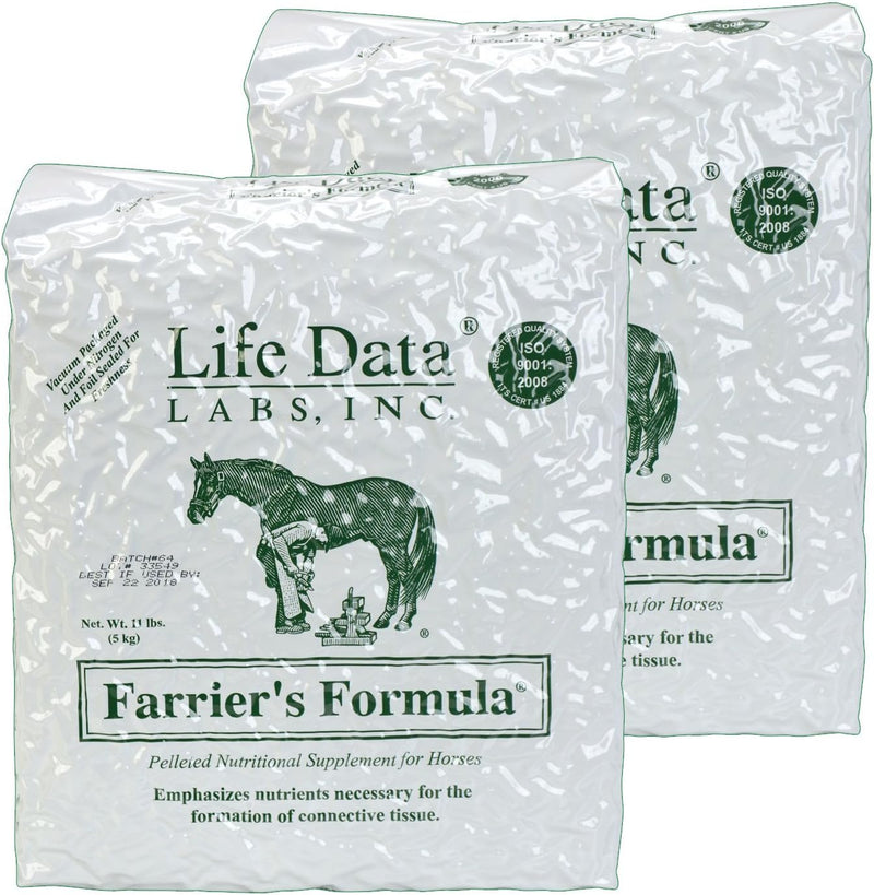 11-lb-refill-bag-2-pack-1