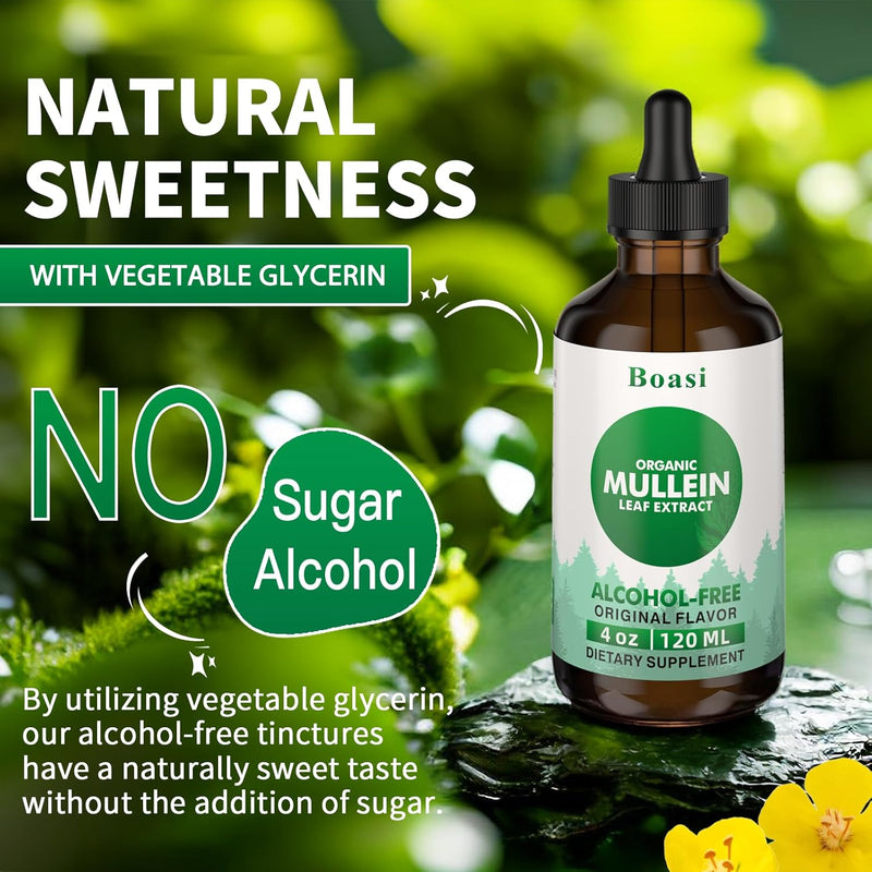 120ml-mullein-drops-for-lungslung-cleanse---vegan--4.jpg