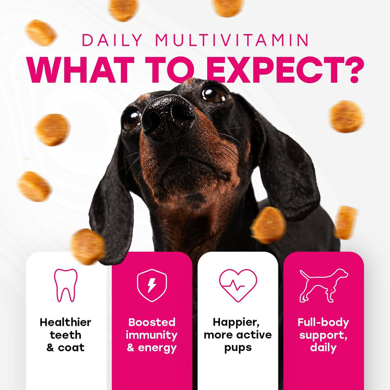 14-in-1-multivitamin-treats-for-dogs---phd-endorsed-8-vitamins-biotin-probiotics-glucosamine---daily-wellness-immunity-skin-coat-mobility-140-treats---beef-flavor---made-in-usa-4