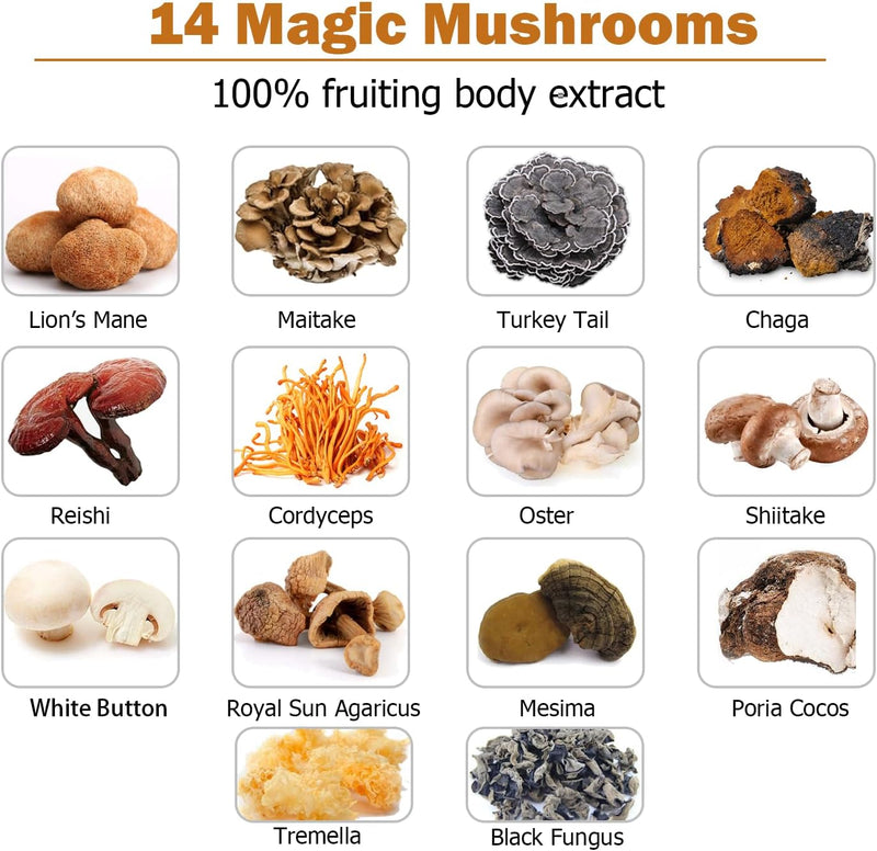 14-mushrooms-supplement-120-capsules---immune-syst-3.jpg