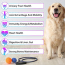 15-in-1-dog-multivitamin-drops-dog-multivitamin-liquid-supplements-with-glucosamine-probiotics-dog-vitamins-for-heart-health-bones-joint-skin-coat-bladder-immune-system-support-6
