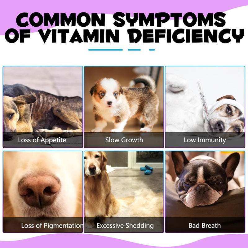 15-in-1-dog-multivitamin-drops-dog-multivitamin-liquid-supplements-with-glucosamine-probiotics-dog-vitamins-for-heart-health-bones-joint-skin-coat-bladder-immune-system-support-7