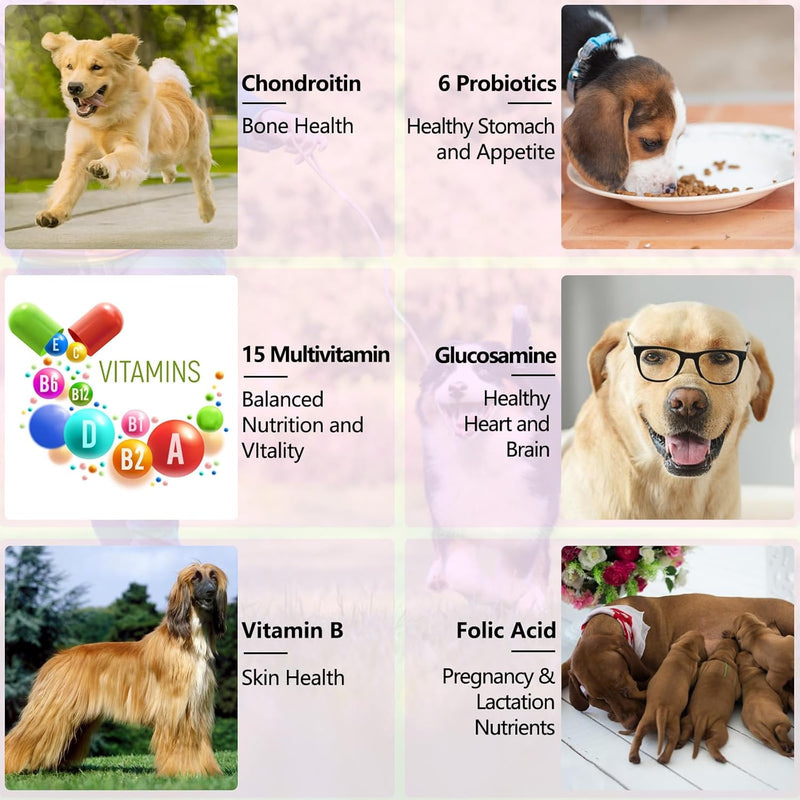15-in-1-dog-multivitamin-drops-dog-multivitamin-liquid-supplements-with-glucosamine-probiotics-dog-vitamins-for-heart-health-bones-joint-skin-coat-bladder-immune-system-support-8