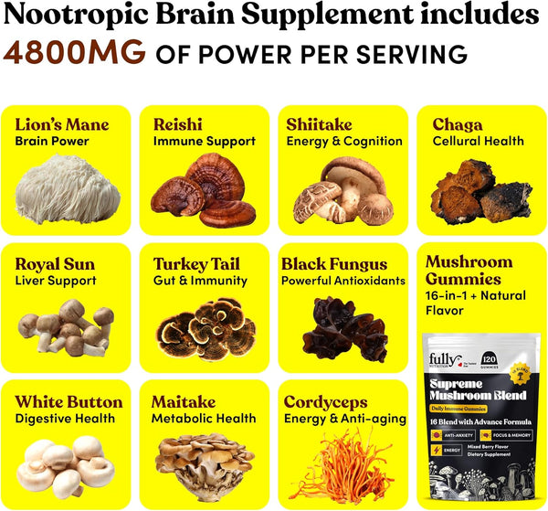 16-blend-mushroom-gummies---mushroom-gummies-for-a-2.jpg