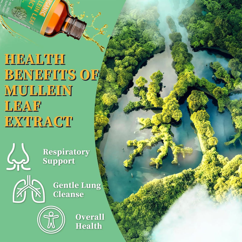 1700mg-mullein-drops-for-lungs-organic-mullein-lea-4.jpg