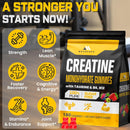 180-count-creatine-monohydrate-gummies-for-men-wom-4.jpg