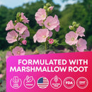 2-pack-advanced-keto-acv-gummies---sugar-free-keto-apple-cider-vinegar-gummies---keto-supplements-marshmallow-root---alternative-to-apple-cider-vinegar-capsules---120-acv-keto-gummies-6