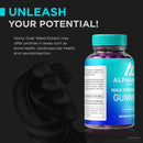 2-pack-alpha-max---official-alpha-max-male-performance-gummies-premium-alpha-max-me-gummies-natural-formula-for-men-to-support-max-energy-peak-performance-alphamax-gomitas-review-120-gummies-4