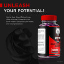 2-pack-alpha-power-xl-gummies-official-alpha-power-xl-premium-formula-for-men-all-natural-male-gummy-to-support-peak-performance-and-endurance-alphapower-xl-me-gomitas-reviews-120-gummies-2