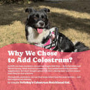 2-pack-colostrum-nutritional-gel-for-dog-cat---high-calorie-supplement-for-senior-dogs-cats-stimulate-appetite-for-cats-immune-support-dog-cat-weight-gainer-eldly-pets-supplement-6