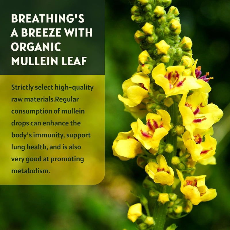 2-pack-mullein-drops-for-lungs---lungs-cleanse-and-7.jpg