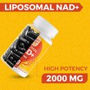 2000-mg-nad-supplement-liposomal-nad-with-high-absorption-more-efficient-than-nicotinamide-riboside-pure-plus-boosting-supplement-aging-defense-metabolism-cellular-180-softgels-2
