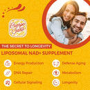 2000-mg-nad-supplement-liposomal-nad-with-high-absorption-more-efficient-than-nicotinamide-riboside-pure-plus-boosting-supplement-aging-defense-metabolism-cellular-180-softgels-5