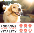 21-in-1-dog-vitamins-and-supplements-with-glucosamine-chondroitin-natural-daily-multivitamin-chewable-for-dogs-puppy-vitamins-health-skin-immunity-gut-digestion-joint-heart-60-pcs-5