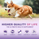 24-in-1-dog-vitamins-and-supplements-senior-puppy-multivitamin-for-dogs-contain-glucosamine-probiotics-chondroitin-omega-3-dog-vitamin-chewable-for-coat-digestion-heart-hipsjoints-immune-support-7