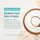 360-nutrition-blends-with-benefits-bovine-colostrum-collagen-peptides-powder-for-gut-health-hair-skin-beauty-immune-support-grass-fed-no-added-sugar-unflavored-6-oz-4