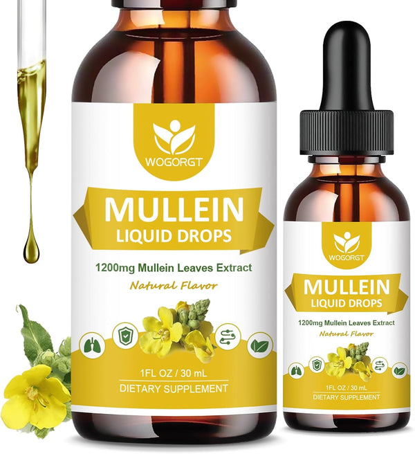 4-in-1-mullein-leaves-extract-drops-for-lungs---re-1.jpg