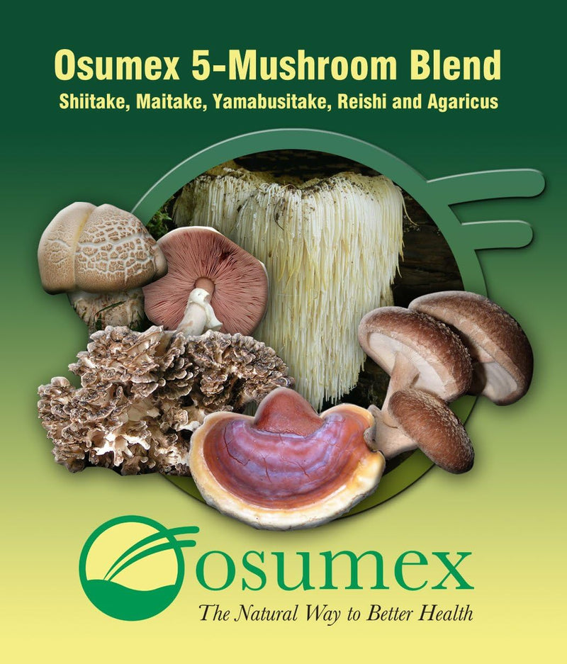 5-mushroom-blend-supplements-10-sachets---mushroom-2.jpg
