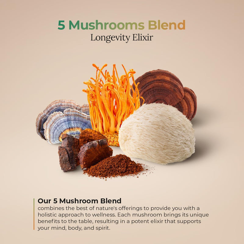 5-mushrooms-power-bland-organic-powder-with-lions--3.jpg