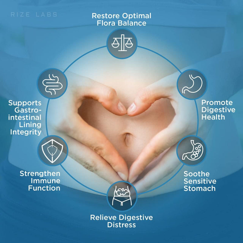 abdomax-healthy-digestive-aid-supplement---advanced-formula-capsules---all-natural-formula-pills-support-gut-health-natural-organic-60-capsules-2