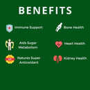 active-again-hope-science-ip6-inositol-120-caps---whole-body-immune-support-with-natures-most-potent-antioxidant---ip6-inositol-supplement-for-enhanced-immunity-bone-kidney-and-heart-health-3