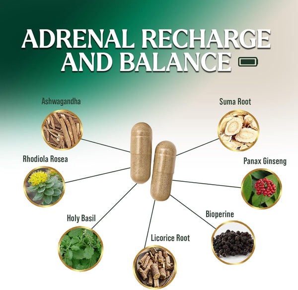 adrenal-support-supplements---ashwagandha-10-adapt-3.jpg
