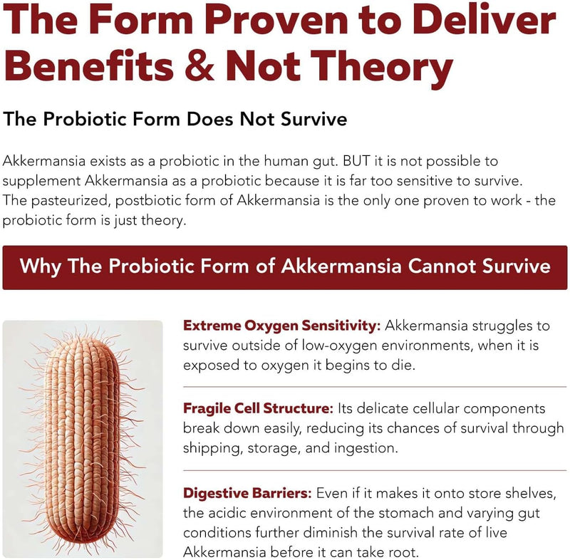 ak-postbio-akkermansia-probiotic-30-billion-tfu----5.jpg