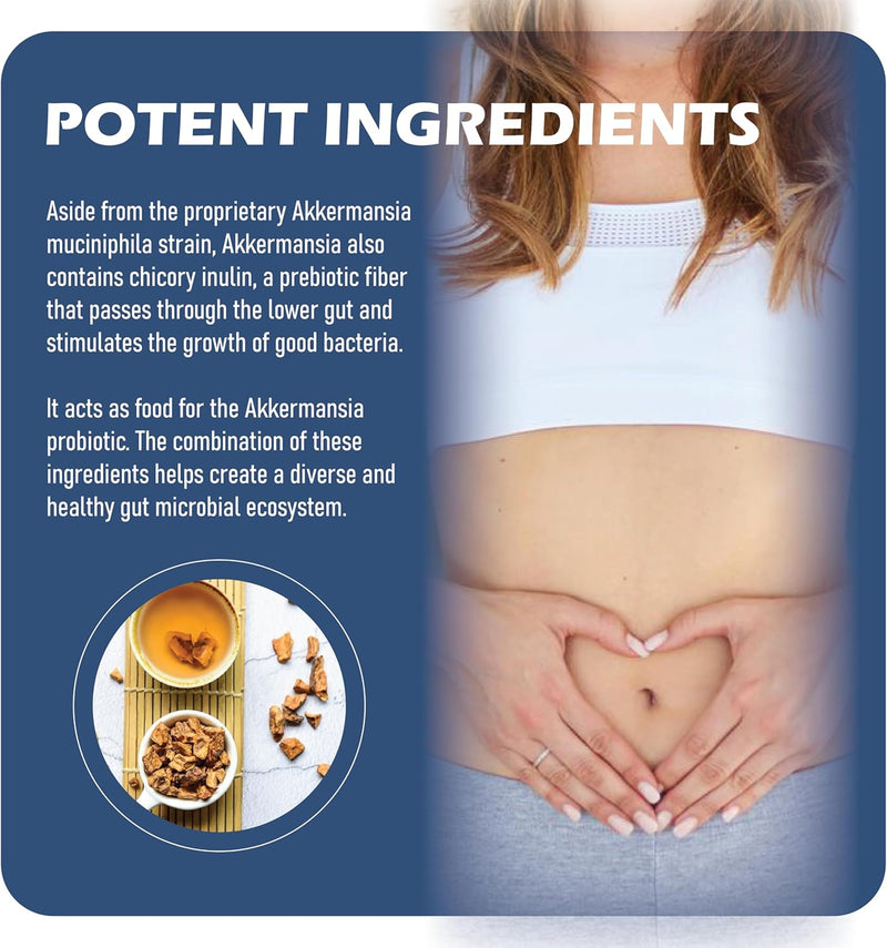 akkermansia-probiotic-with-prebiotic-fiber---incre-6.jpg