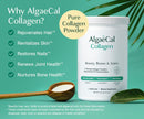 algaecal-calcium-vitamin-d3-collagen-bundle-collagen-with-clinically-supported-verisol-fortibone-fortigel-plus-13-bone-supporting-minerals-and-vitamin-adek-for-bone-health-anti-aging-1