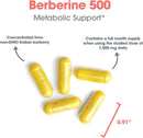 allergy-research-group-berberine-500mg-supplement--5.jpg