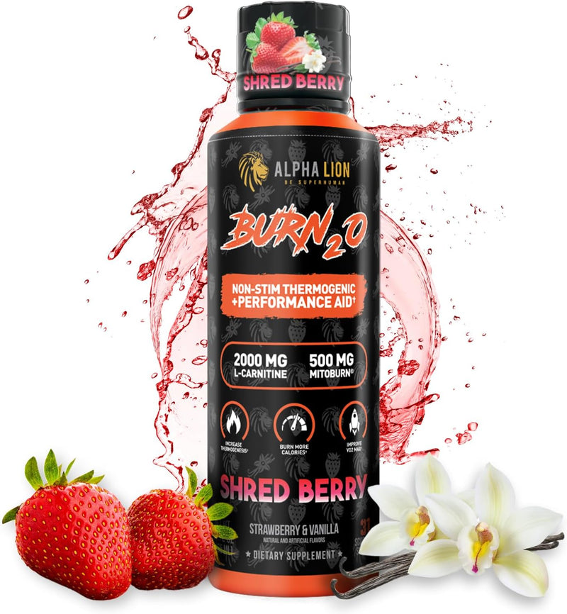 alpha-lion-burn-20-l-carnitine-liquid-2000mg-premi-1.jpg