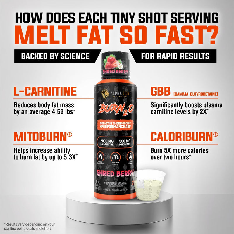 alpha-lion-burn-20-l-carnitine-liquid-2000mg-premi-4.jpg