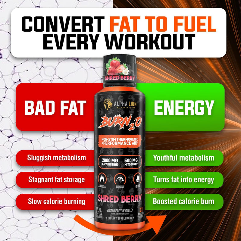 alpha-lion-burn-20-l-carnitine-liquid-2000mg-premi-6.jpg