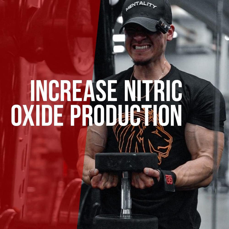 alpha-lion-gains-candy-supplement-pills-for-muscle-pump-blood-flow-nitric-oxide-booster-supports-mental-focus-use-daily-to-upgrade-workout-performance-63-capsules-nitrosigine-2