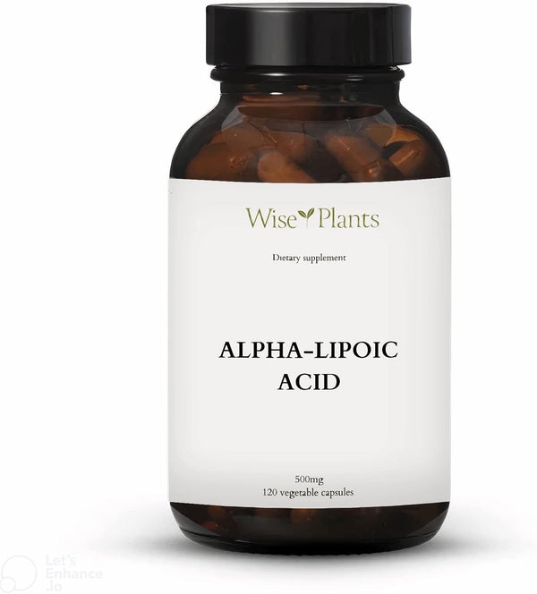 alpha-lipoic-acid---non-gmo---500mg-120-servings-4-1.jpg
