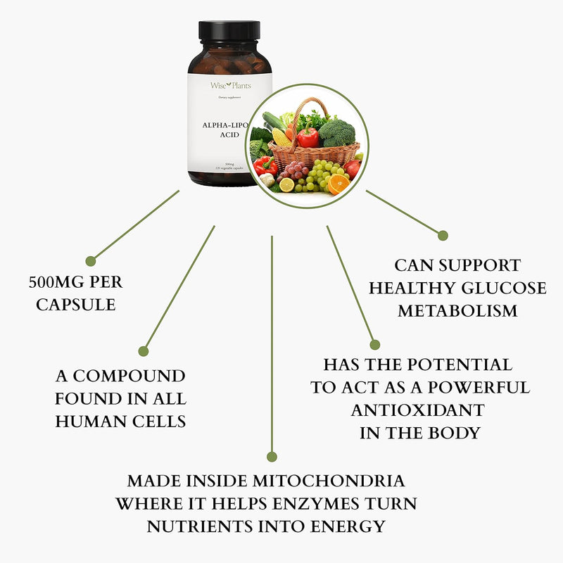 alpha-lipoic-acid---non-gmo---500mg-120-servings-4-4.jpg