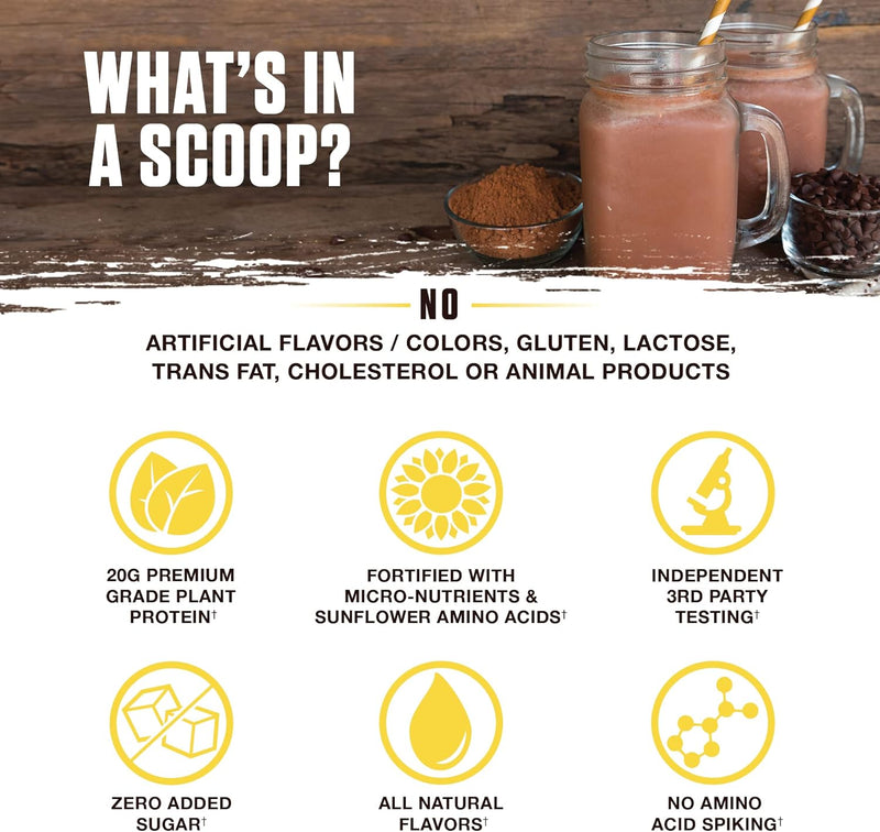 ambrosia-planta---premium-organic-plant-based-prot-4.jpg