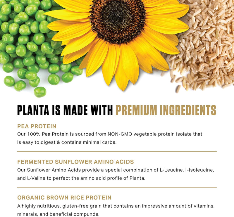 ambrosia-planta---premium-organic-plant-based-prot-5.jpg