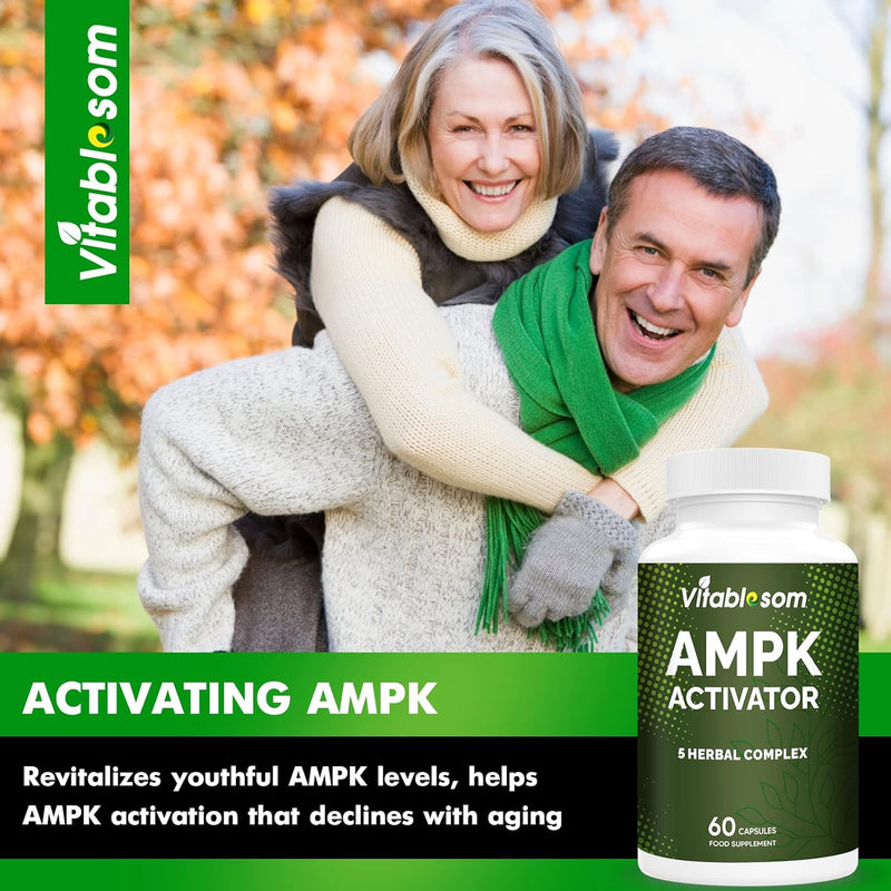 ampk-activator-supplement-5-in-1-jiaogulan-gynoste-3.jpg