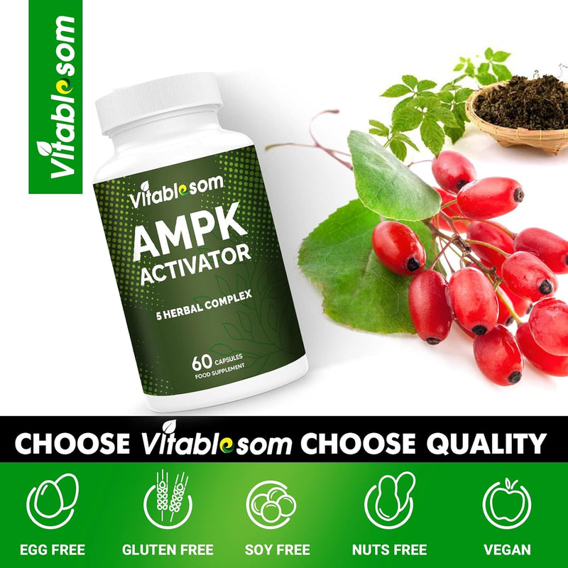 ampk-activator-supplement-5-in-1-jiaogulan-gynoste-5.jpg