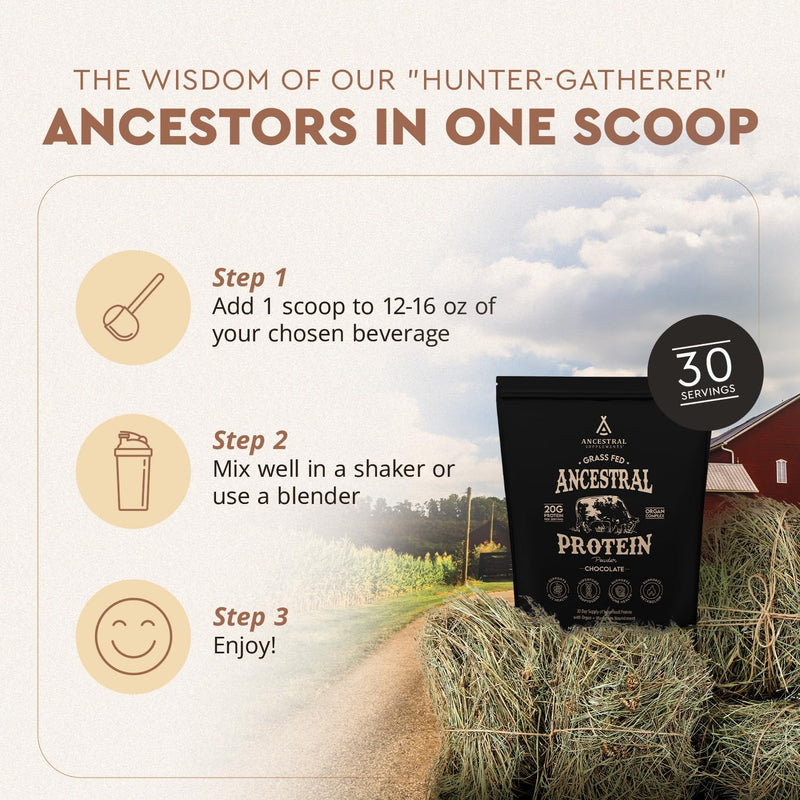 ancestral-supplements-grass-fed-protein-powder-chocolate-beef-bone-broth-based-wbeef-organs-organic-mushrooms-gut-health-support-high-protein-supplement-20g-protein-per-serving-30-day-supply-6