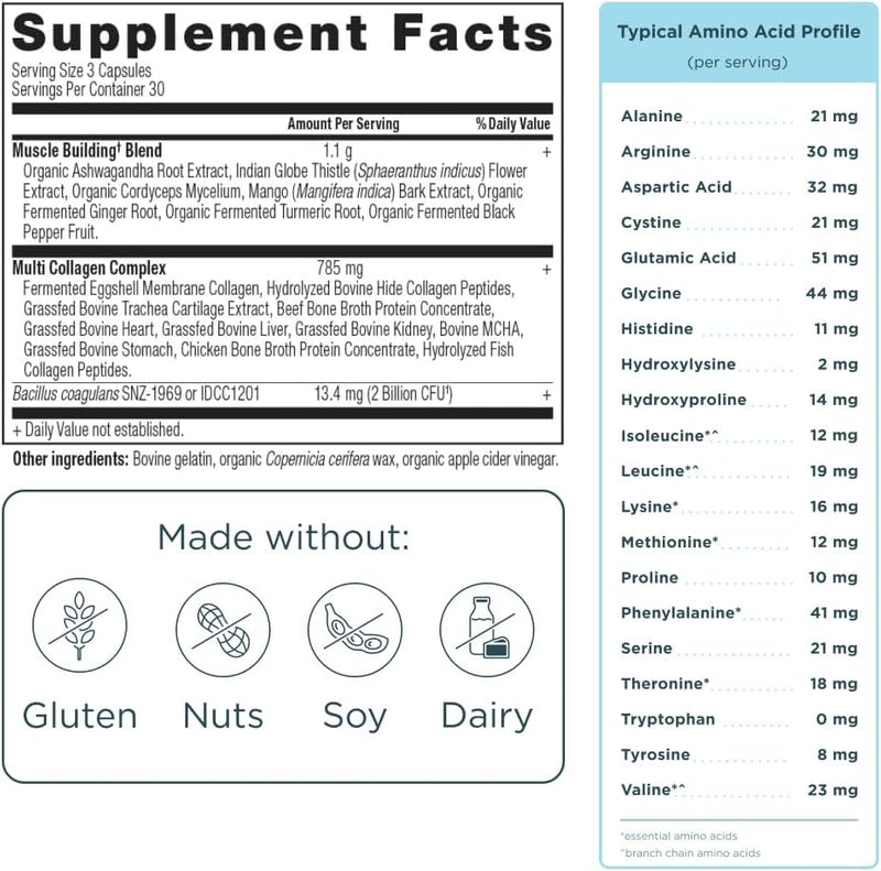 ancient-nutrition-advanced-multi-collagen-protein--2.jpg