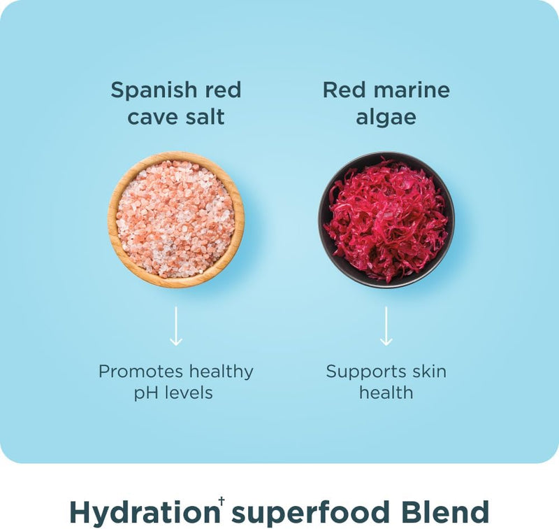 ancient-nutrition-advanced-multi-collagen-protein--5.jpg