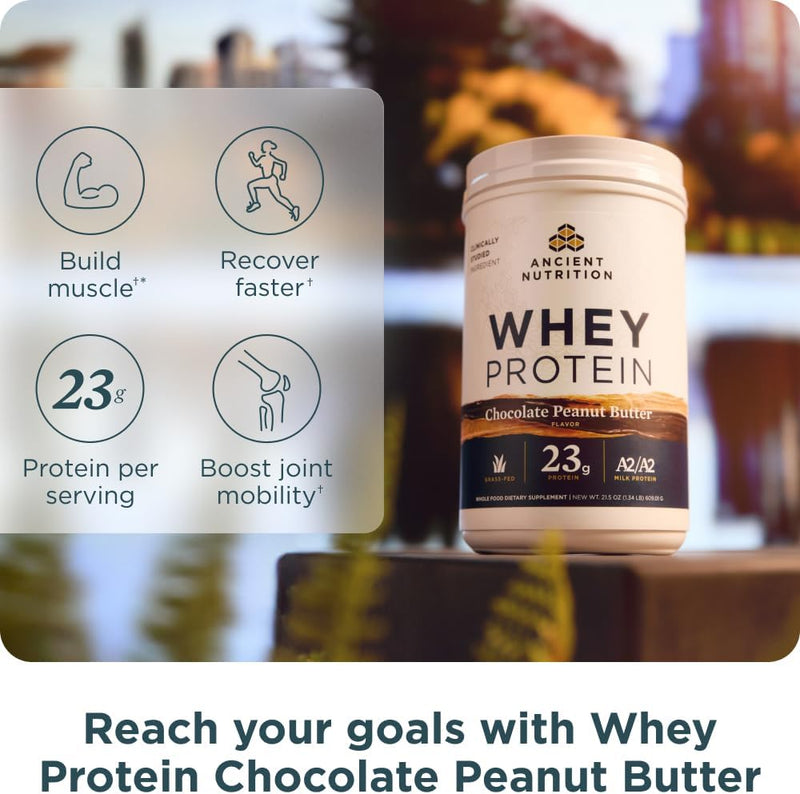ancient-nutrition-grass-fed-whey-protein-chocolate-3.jpg
